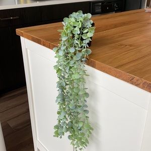 Fake Drapey Plant Vines